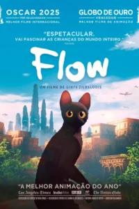 Pôster do filme flow