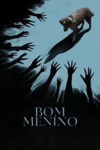 Pôster do filme Bom Menino (2025) Pôster do filme Bom Menino (2025), mostrando um cão solitário cercado por sombras e mãos escuras estendidas em sua direção.