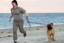 Anthony Ippolito como Sylvester Stallone corre pela praia durante treinamento em trailer de Eu Sou o Rocky (I Play Rocky, 2026), acompanhado de um cachorro.