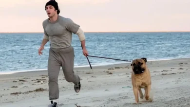Anthony Ippolito como Sylvester Stallone corre pela praia durante treinamento em trailer de Eu Sou o Rocky (I Play Rocky, 2026), acompanhado de um cachorro.