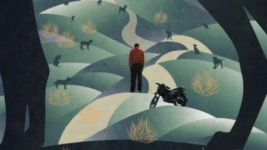 Trilha Sonora Black Dog