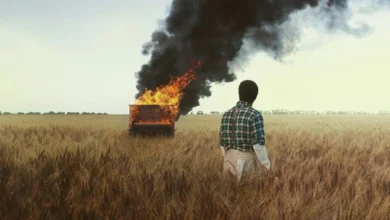 Trilha sonora Piano de Família