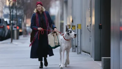 Atriz Naomi Watts caminha com um cão da raça Dogue Alemão em uma rua urbana durante uma cena do filme Meu Companheiro Fiel (2024), um drama comovente sobre amizade e superação.