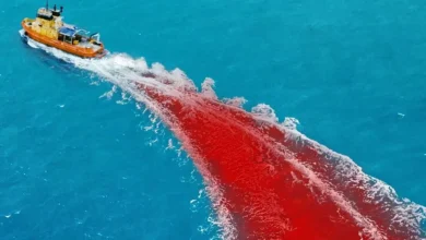 Barco laranja navega em mar azul deixando um rastro vermelho semelhante a sangue, em cena do filme Animais Perigosos (Dangerous Animals), estrelado por Jai Courtney.