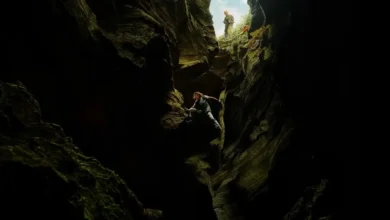 Taron Egerton e Charlize Theron em cena de ação em caverna no filme O Jogo do Predador (Apex), dirigido por Baltasar Kormákur