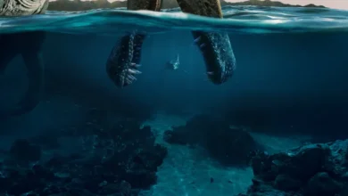 Dinossauro marinho gigante surge sob a água enquanto um tubarão nada ao fundo em cena da minissérie documental Os Dinossauros (The Dinosaurs), da Netflix, produzida por Steven Spielberg e narrada por Morgan Freeman.