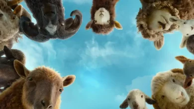 Ovelhas observam para baixo em cena de As Ovelhas Detetives (The Sheep Detectives), comédia de mistério estrelada por Hugh Jackman e Emma Thompson.