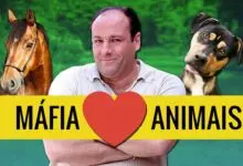O brilhante uso de ANIMAIS em The Sopranos