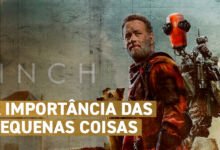 Finch-canal-elegante