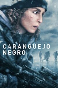 Caranguejo-Negro-poster