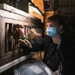 Jurassic World Dominio 13