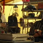 Jurassic World Dominio 2