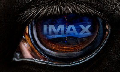Pôster-para-IMAX-de-Não-Não-Olhe