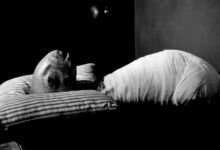 Cena do filme Eraserhead (1977)