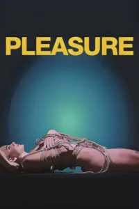 Pôster do filme Pleasure