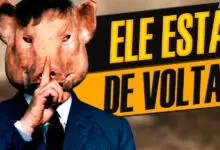 Pocilga - Um filme completamente estranho e profundo