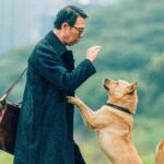 hachiko para sempre 02 –