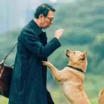 hachiko para sempre 02
