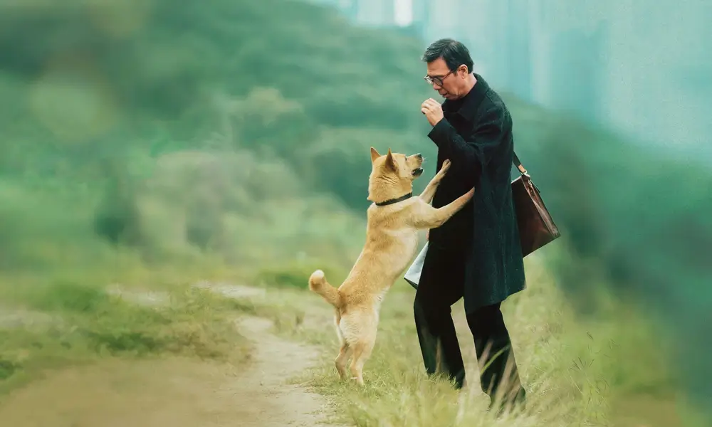 Hachiko: Para Sempre (2023)