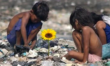 O FILME QUE IMPACTOU VÁRIAS GERAÇÕES - ILHA DAS FLORES