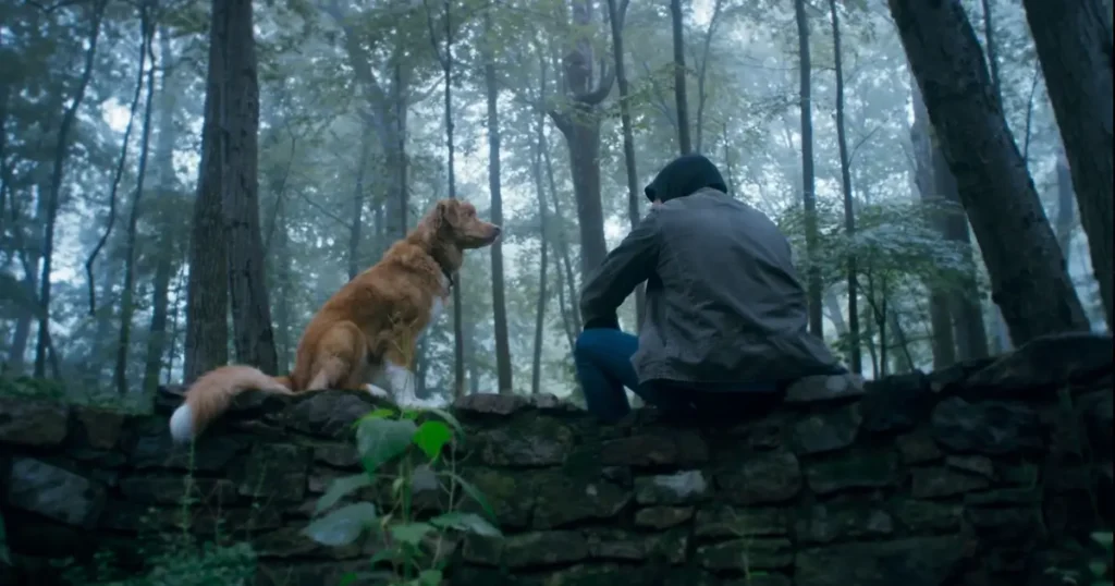 bom menino indy e shane jensen Cão Indy e o ator Shane Jensen (Todd) sentados em um muro de pedra na floresta, cena do filme Bom Menino (Good Boy) 2025.