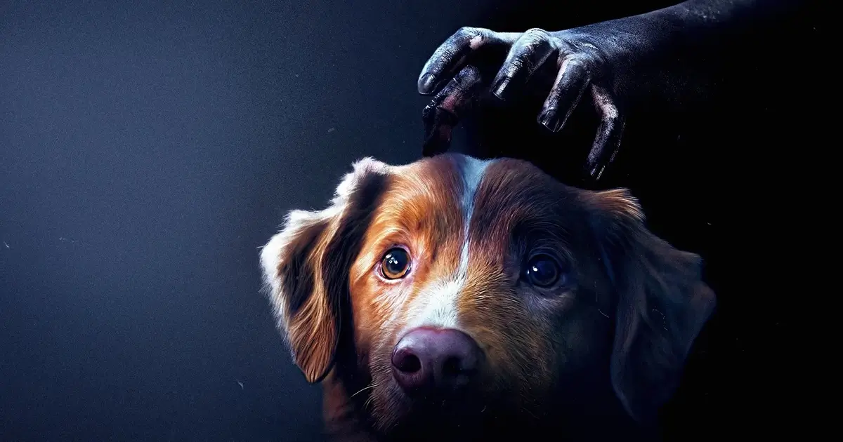 cinema 30 de outubro 2025 Cão Indy, estrela do filme de terror Bom Menino (2025), destaque entre as Estreias de 30 de outubro de 2025
