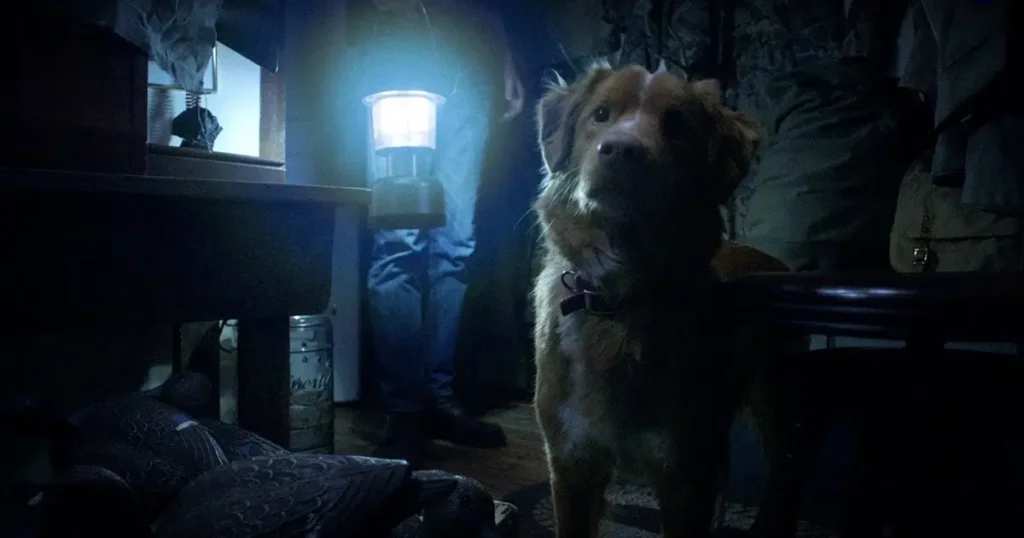 critica de bom menino 2025 Cão Indy (Good Boy 2025) olhando para cima dentro de uma cabana escura, iluminado por uma lanterna.