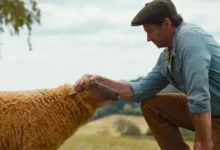 Cena do trailer de As Ovelhas Detetives (The Sheep Detectives), filme dirigido por Kyle Balda e estrelado por Hugh Jackman, com estreia prevista para maio de 2026