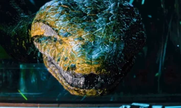 Anaconda em versão cômica no trailer final divulgado pela Sony Pictures, com sátira visual a Avatar