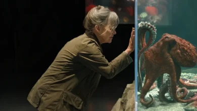 Sally Field observa um polvo em aquário no filme Criaturas Extraordinariamente Brilhantes (2026), produção da Netflix dirigida por Olivia Newman