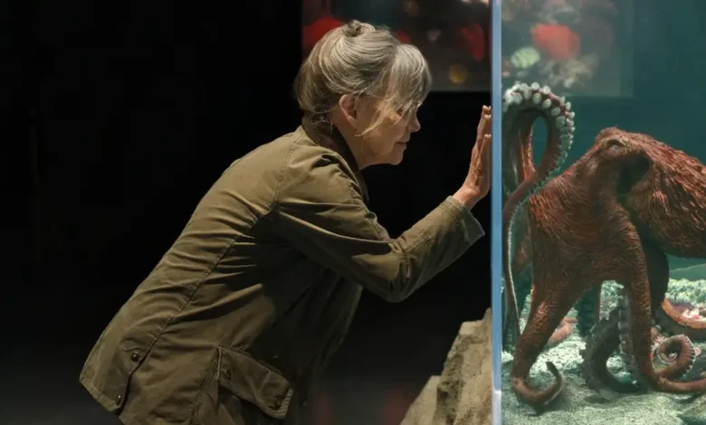 Sally Field observa um polvo em aquário no filme Criaturas Extraordinariamente Brilhantes (2026), produção da Netflix dirigida por Olivia Newman