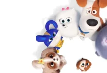 Personagens principais de Pets: A Vida Secreta dos Bichos reunidos em imagem promocional da franquia da Illumination, que ganhará um terceiro filme.