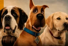 Cachorros mais marcantes do cinema reunidos em arte editorial com São Bernardo, Scooby-Doo e Marley, destacando cães famosos de filmes.