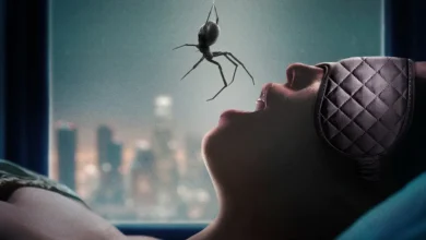 Imagem de destaque de O Homem que Sussurra mostra mulher deitada enquanto uma aranha desce diante dela