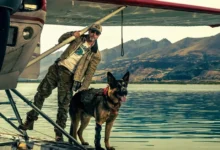 Brad Pitt em Coração Selvagem (2026) ao lado de um cão durante uma missão em um hidroavião sobre um lago cercado por montanhas.
