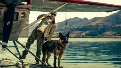 Brad Pitt em Coração Selvagem (2026) ao lado de um cão durante uma missão em um hidroavião sobre um lago cercado por montanhas.