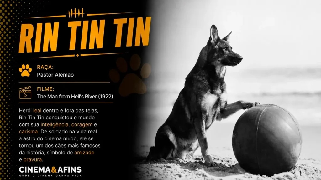Rin Tin Tin, o famoso pastor-alemão de The Man from Hell's River (1922), em fotografia de estilo vintage