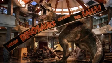 Cena de Jurassic Park com Tiranossauro Rex, filme que marcou a bilheteria de Jurassic Park