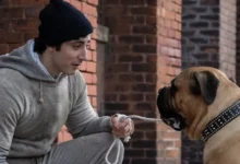 Anthony Ippolito como o jovem Sylvester Stallone ao lado do cachorro Butkus em cena do filme Eu Sou o Rocky (I Play Rocky, 2026).