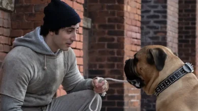 Anthony Ippolito como o jovem Sylvester Stallone ao lado do cachorro Butkus em cena do filme Eu Sou o Rocky (I Play Rocky, 2026).